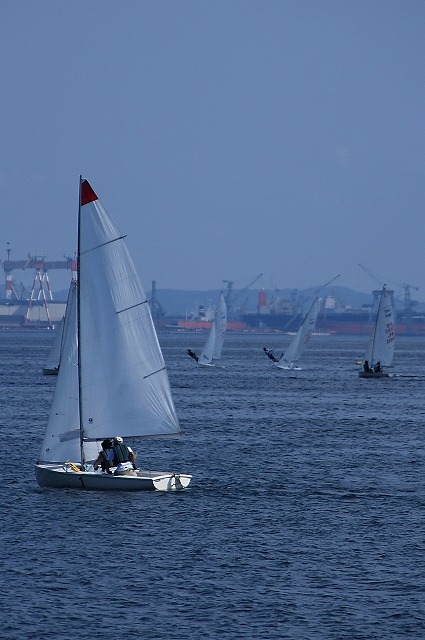9e457868.jpg