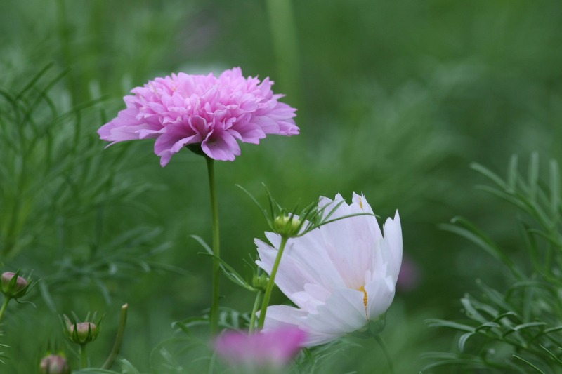 a93302ba.jpg