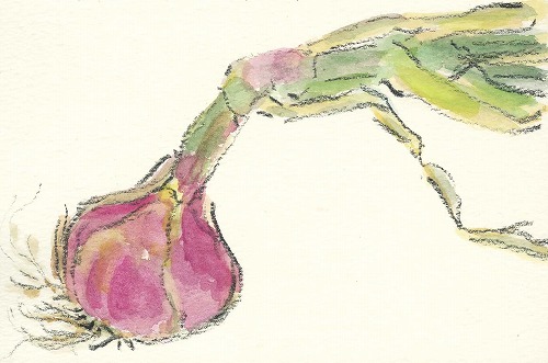 aabf8631.jpg