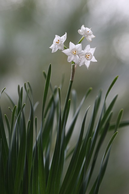 c631f3f2.jpg