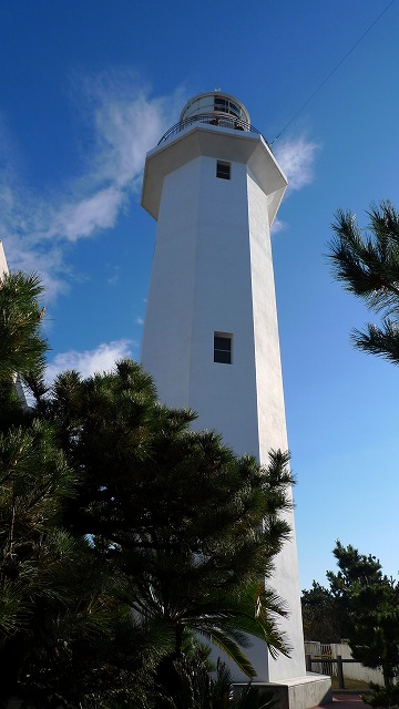 c771034a.jpg
