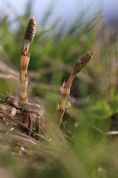 cc2f5218.jpg