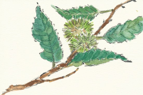cd1502d0.jpg