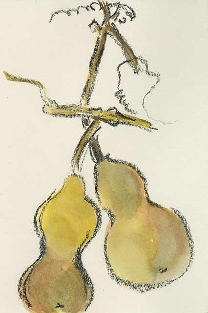 d3211a5e.jpg