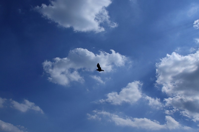 d71e5f5f.jpg