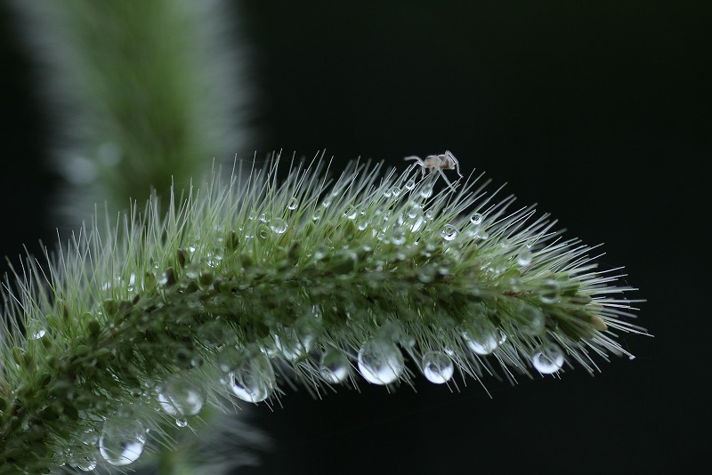 e420f5f0.jpg