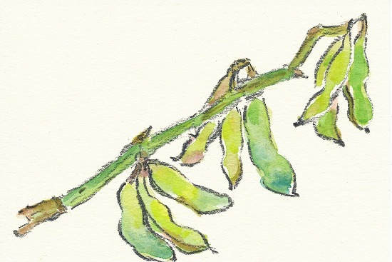 e8592e5b.jpg