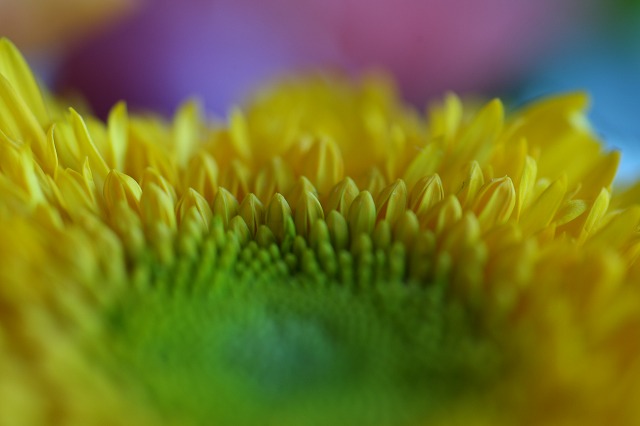 ea01f155.jpg