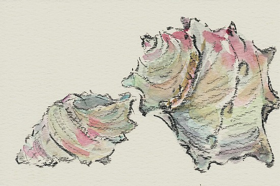 f08c0814.jpg