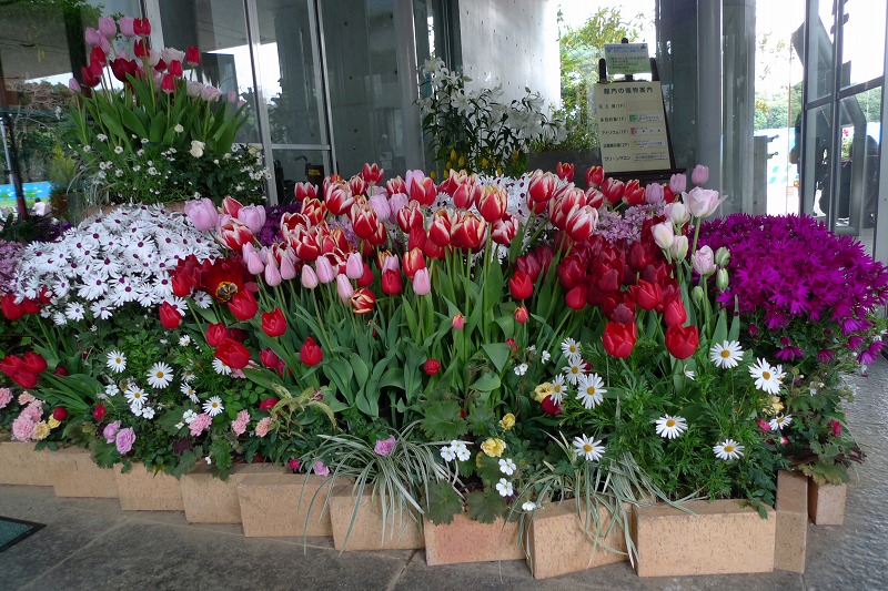 f1d716e9.jpg