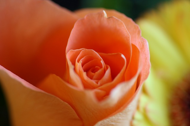 f3c78604.jpg