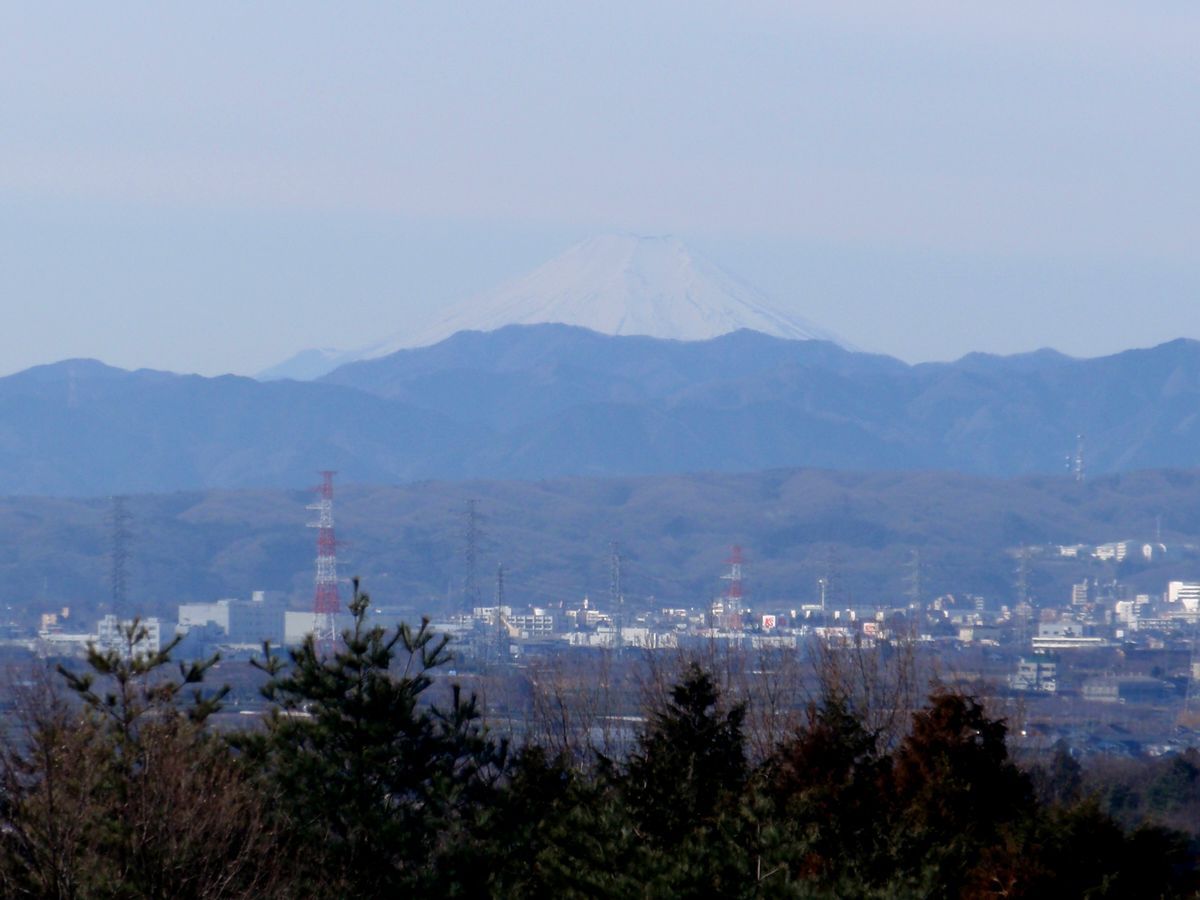 五十路　おばさん　近親相姦 の掲示板投稿写真＆画像