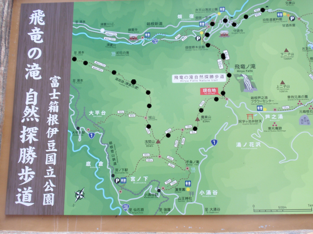 五十路　おばさん　近親相姦 の掲示板投稿写真＆画像