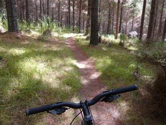 m-bike4