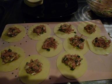 dumpling 2