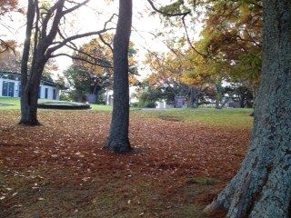 photo2