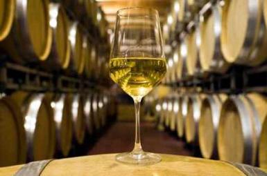 new-zealand-wine-centre