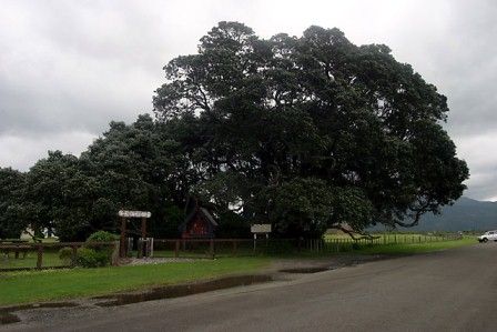 eastcape6_te_araroa4[1]