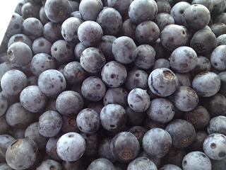 blueberry 1