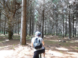 m-bike3