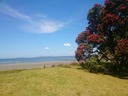 海岸