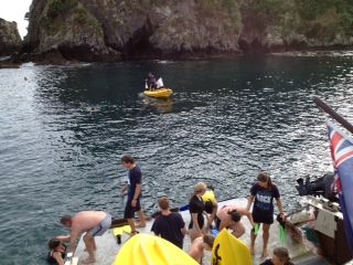snorkelling