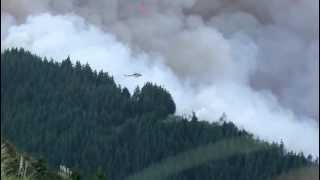 MATAKANA BUSH FIRE