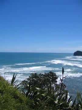 piha6