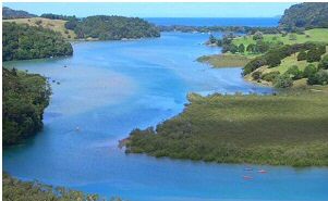 puhoi_river