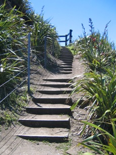 piha2