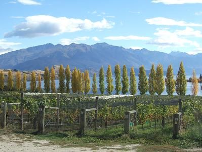 wanaka