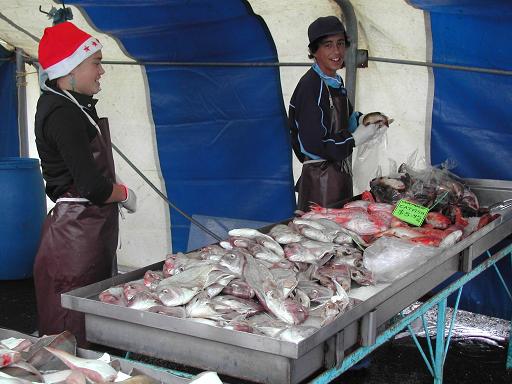 魚