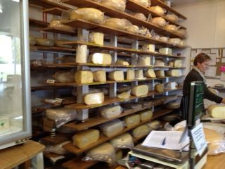 cheese