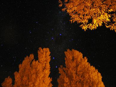 南十字星