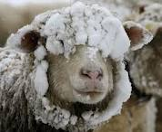 freezing2