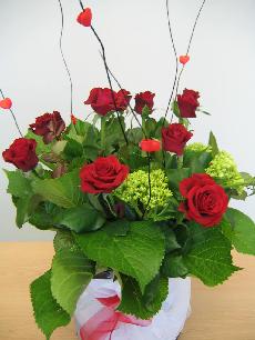 v's flower