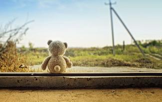 teddy