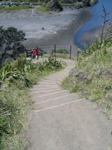 piha7
