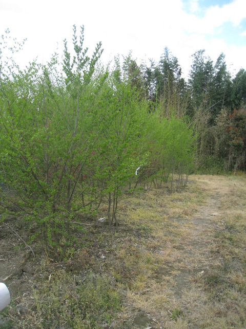 110420-05