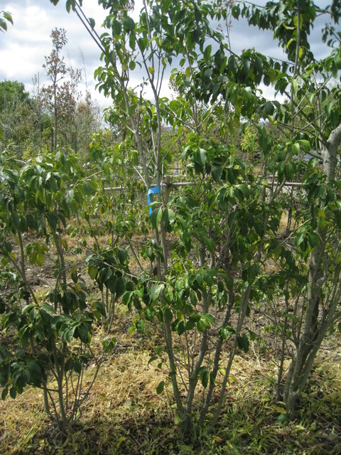 110420-04