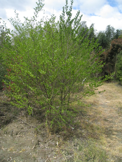 110420-06