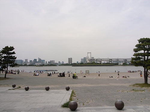 東京湾マラソン 14