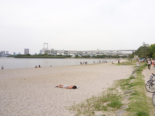 東京湾マラソン 10