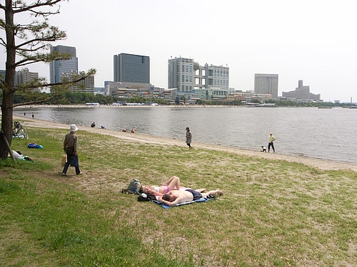 東京湾マラソン 8