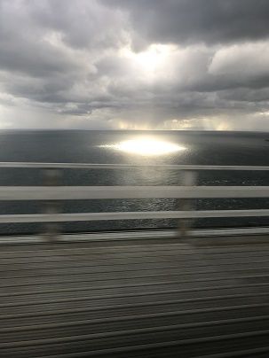 IMG_0884