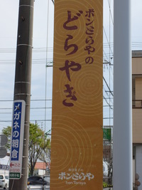P4159910