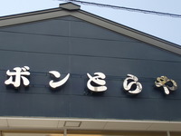 P4159904