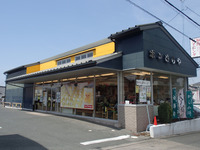 P4159901