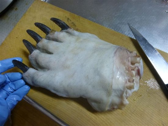 image_5