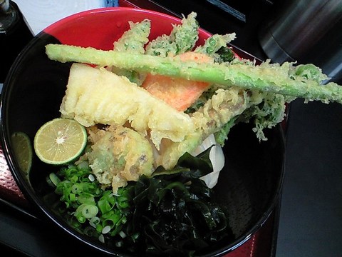 2/26まで